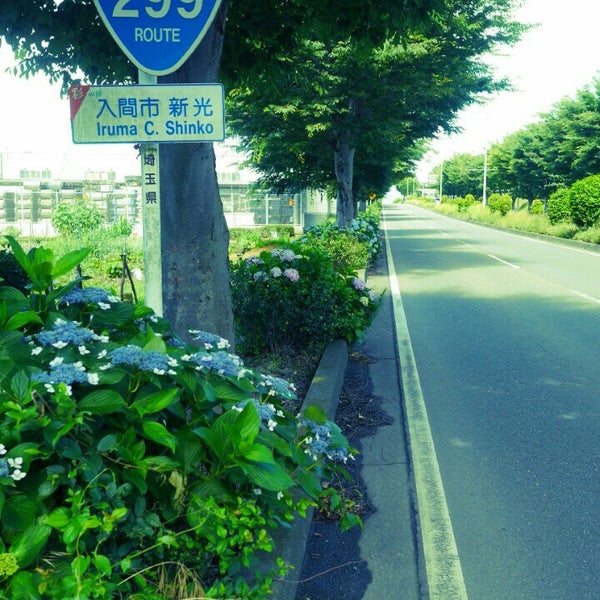 国道299号 道路