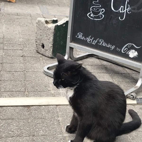 6/20/2018 tarihinde Ellen D.ziyaretçi tarafından Mont Café'de çekilen fotoğraf