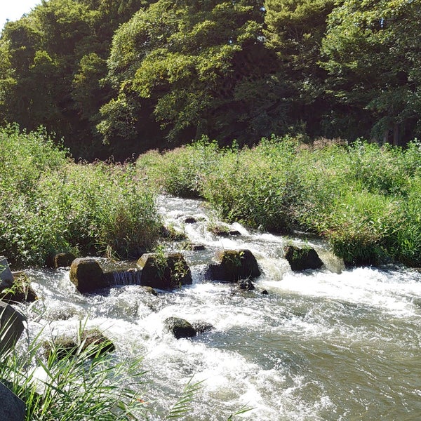 新井田川(花水河原)河川公園 八戸市, 青森県 新井田川(花水河原)河川公園 八戸市, 青森県