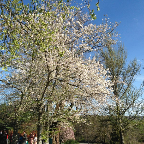 Briar Patch Bed & Breakfast Middleburg, VA