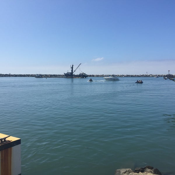 Foto scattata a Dana Wharf Whale Watching da pearjok p. il 7/4/2016