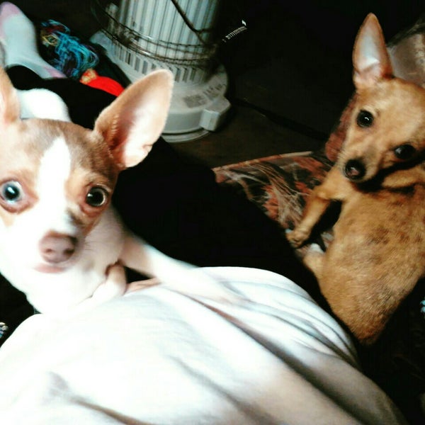 Glen Daniel, WV Surveyor, WV