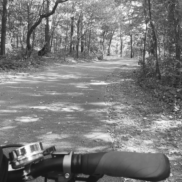 Bethpage State Park Bike Trail Bike Trail in Bethpage