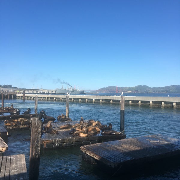 4/15/2016 tarihinde Luke R.ziyaretçi tarafından Pier 39'de çekilen fotoğraf
