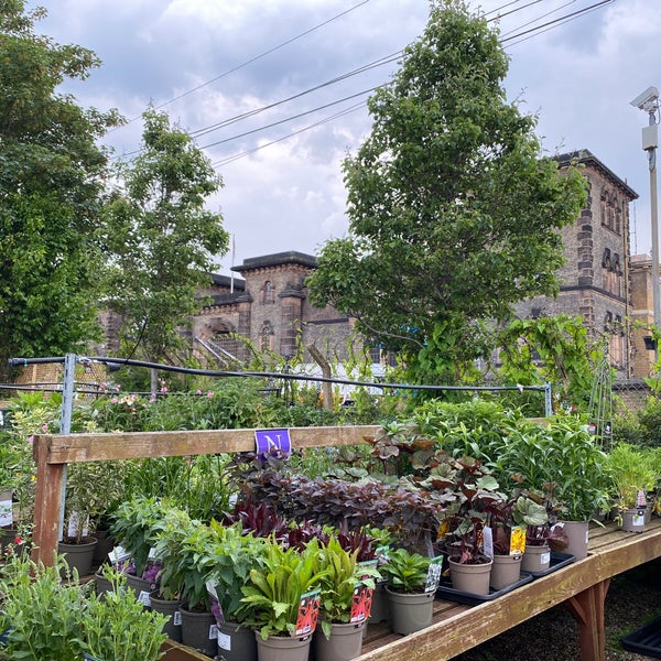 Photos at Neal's Nurseries Garden Center in Wandsworth
