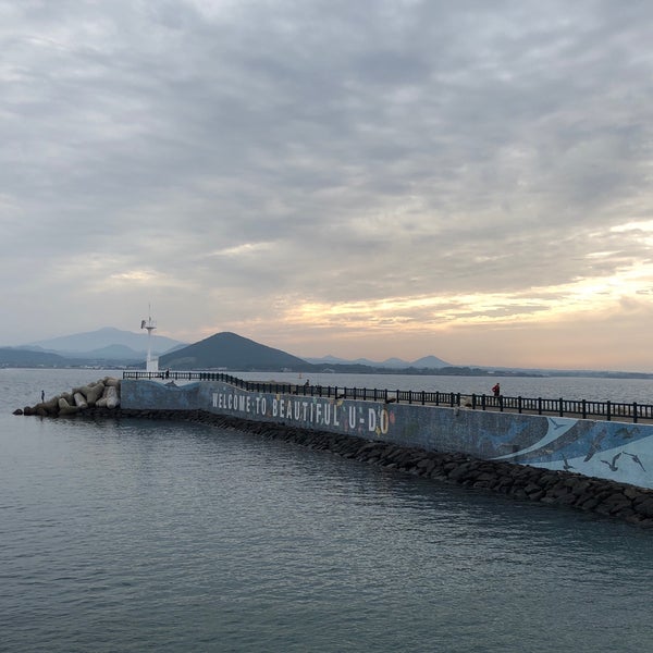 Dock port
