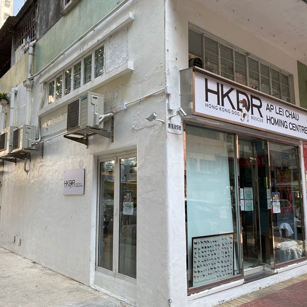 Hong Kong Dog Rescue 香港救狗之家 - Animal Shelter in Ap Lei Chau