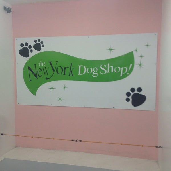 The new hotsell york dog shop
