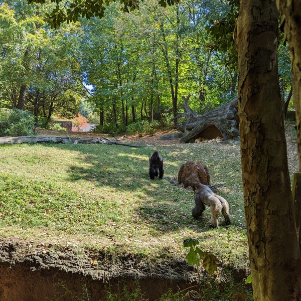 รูปภาพถ่ายที่ Zoo Atlanta โดย Dionne J. เมื่อ 10/10/2022