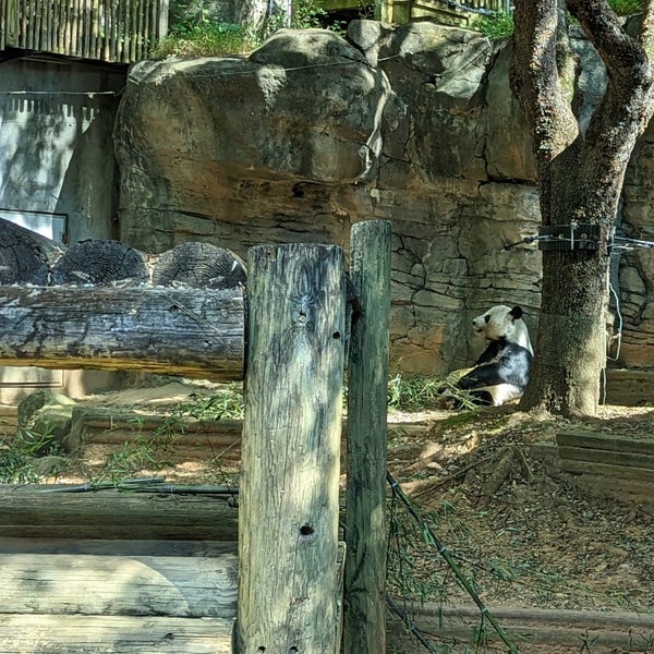 10/10/2022에 Dionne J.님이 Zoo Atlanta에서 찍은 사진