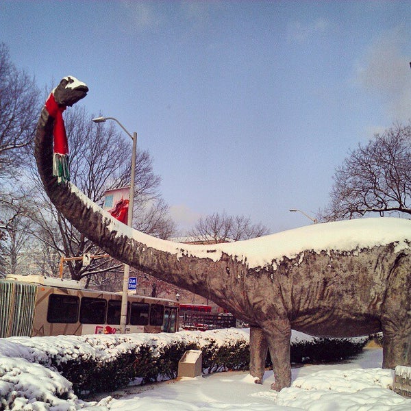 Photo prise au Dippy the Dinosaur (Diplodocus carnegii) par Brendan S. le1/25/2013