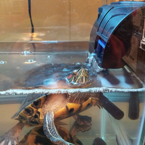 Dave's Pet City Pet Supplies Store in Northampton