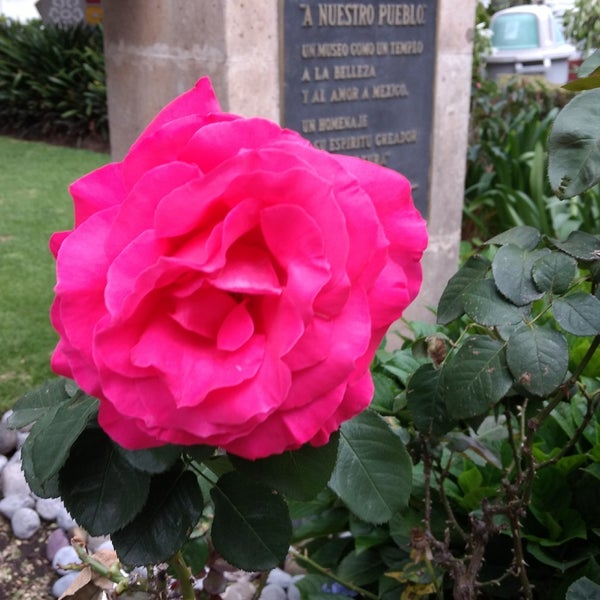 Foto tirada no(a) Museo Nacional de la Acuarela &quot;Alfredo Guati Rojo&quot; por Mucsi N. em 6/9/2017