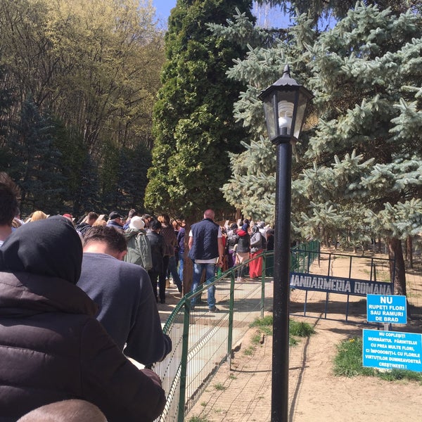 Photos At Mormantul Lui Arsenie Boca 199 Visitors