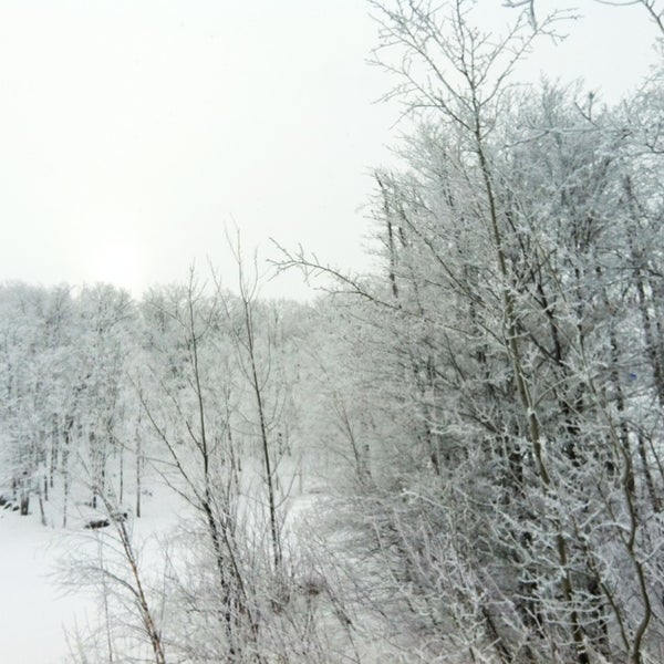 Снимок сделан в Mont Blanc пользователем Elisabeth B. 12/31/2013