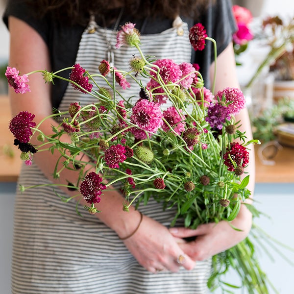 Floral Design Meets Lacto-Fermentation at Flowerkraut in Hudson