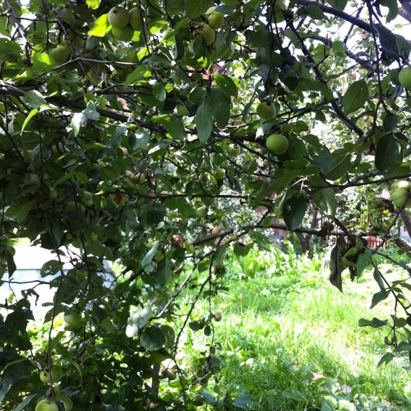 Тверская область база боровое. Конаково магазин боровое. Конаково магазин боровое. Турбаза кава тверская область. Конаково боровая 94.