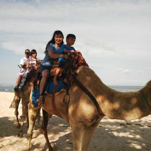 Photos At Bali Camel Safari Now Closed Nusa Dua Bali