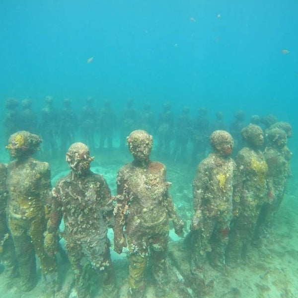 Grenada Underwater Sculpture Park St. Saint