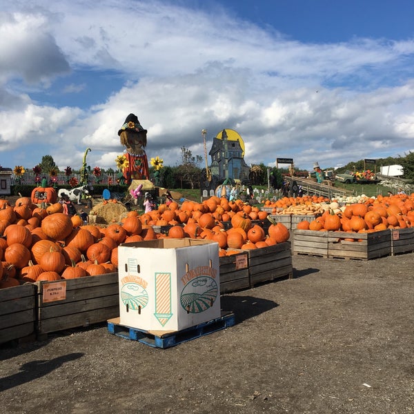 Photo taken at Linvilla Orchards by Jen P. on 10/10/2017