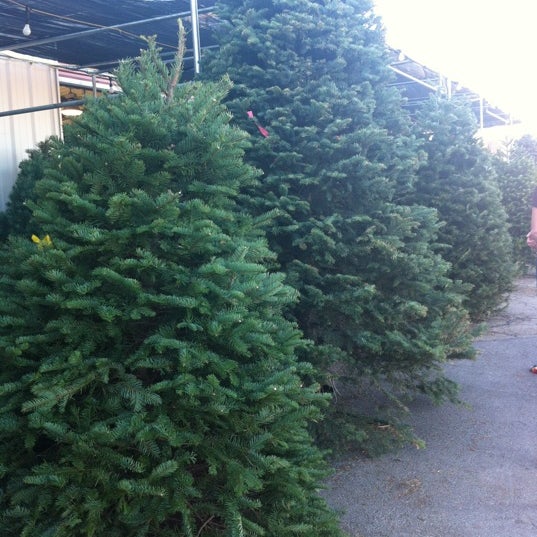 Weatherford Farmers Market Weatherford, TX