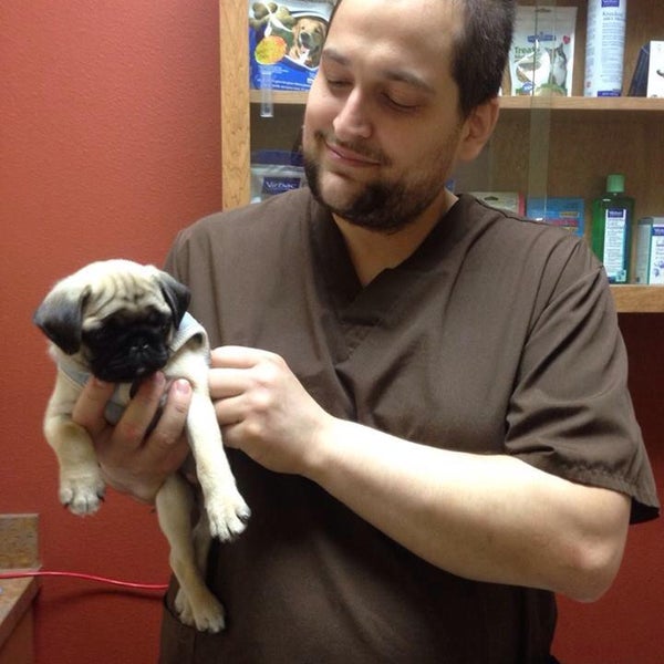 vitality animal hospital