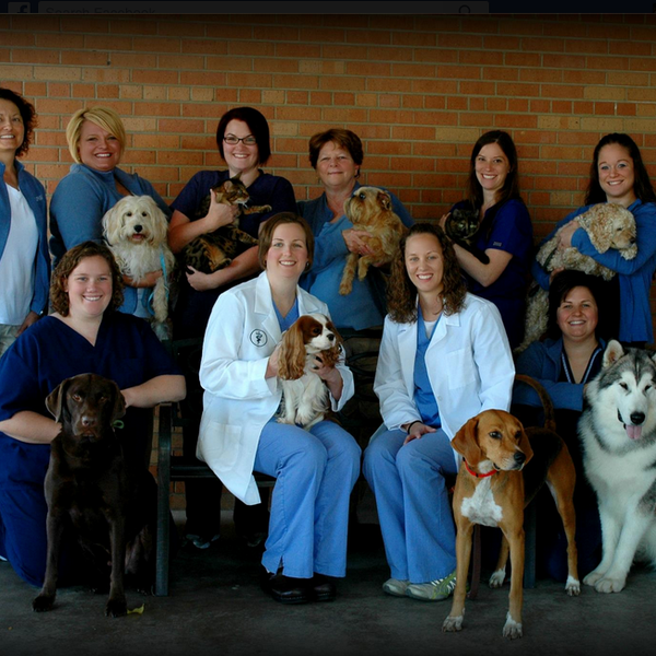 Parkside Animal Care Center Veterinarian in Green Bay
