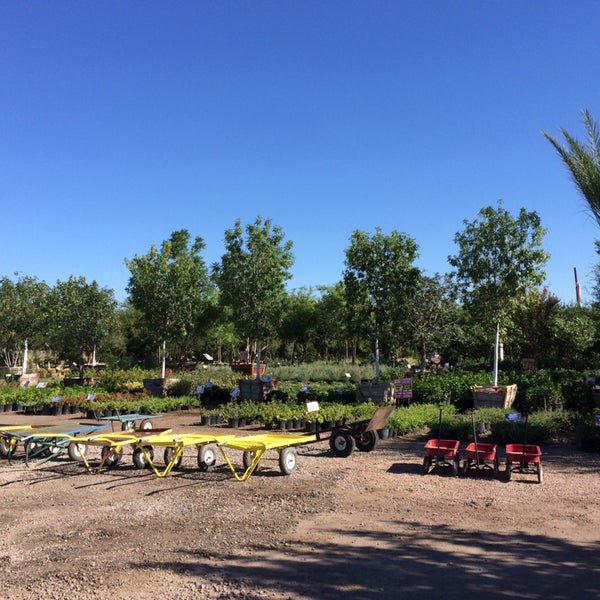 Photos At Moon Valley Nursery Mesa Az Photos At Moon Valley Nursery Mesa Az