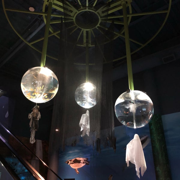 10/27/2018에 Brian R.님이 OdySea Aquarium에서 찍은 사진