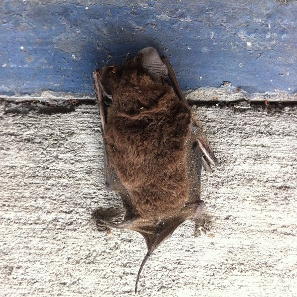 Photos at Rooms To Go Distribution Center Lakeland, FL