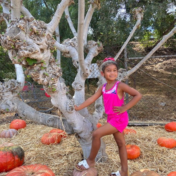 Tapia Brothers Encino, CA