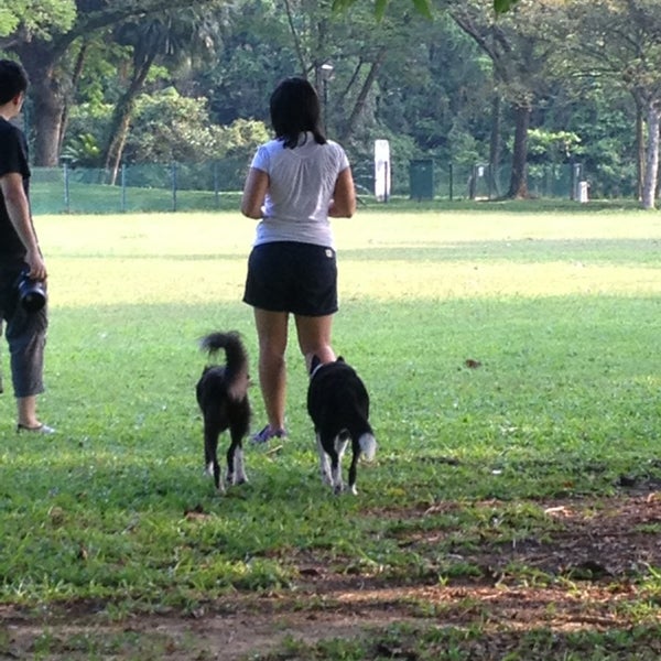 Dog Run West Coast Park Dog Run West Coast Park