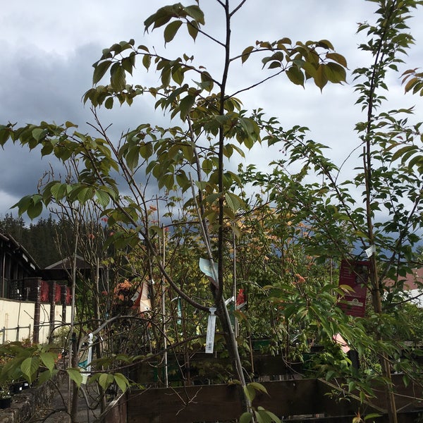 Cardwell Garden Centre Garden Center In By Gourock