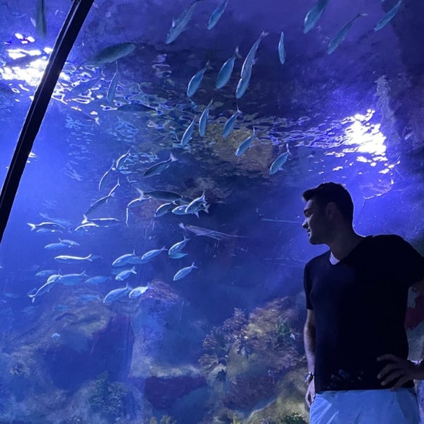 Das Foto wurde bei Funtastic Aquarium İzmir von Atıl A. am 8/3/2021 aufgenommen