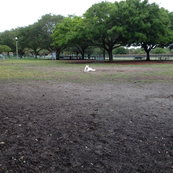 walter the dog park