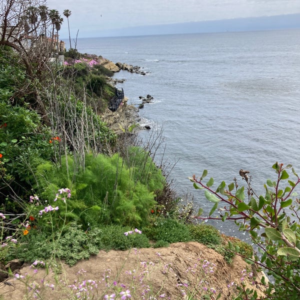 La Jolla Hermosa Park Bird Rock San Diego, CA