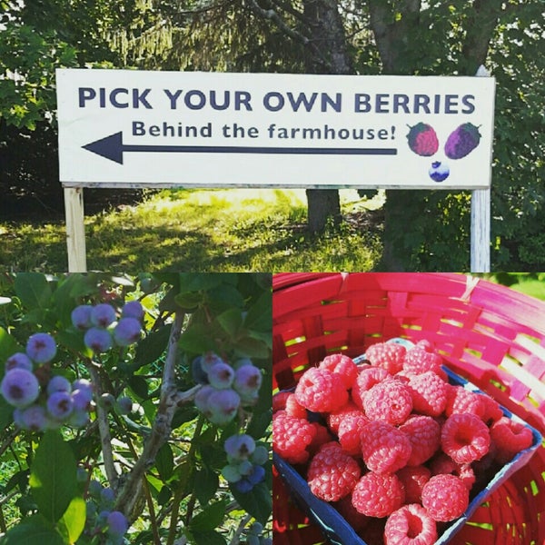 Photo taken at Pattys Berries and Bunches by Lisa D. on 7/24/2015