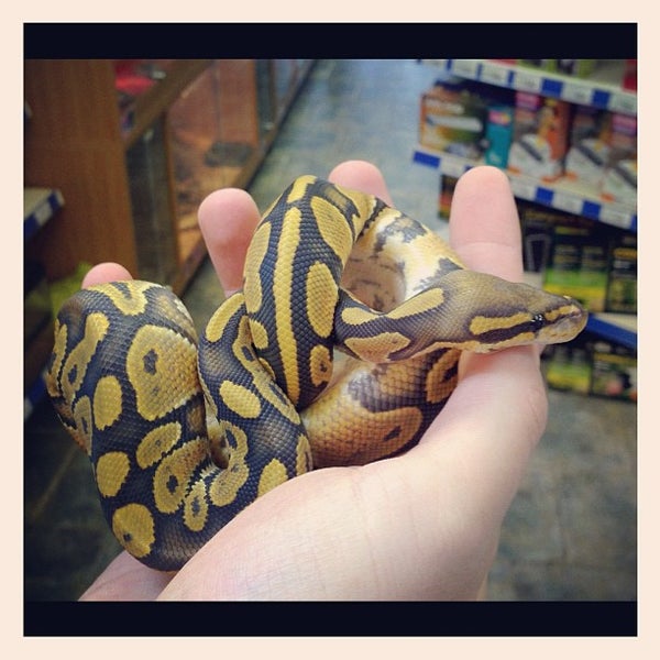 Photo taken at Northampton Reptile Centre by Gary R. on 9/26/2012