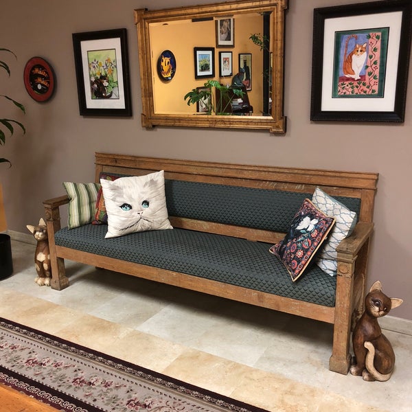 vca southpaws veterinary specialists & emergency center