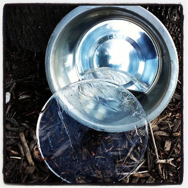 Photos at Lake Pahagaco Lake in Spring Grove