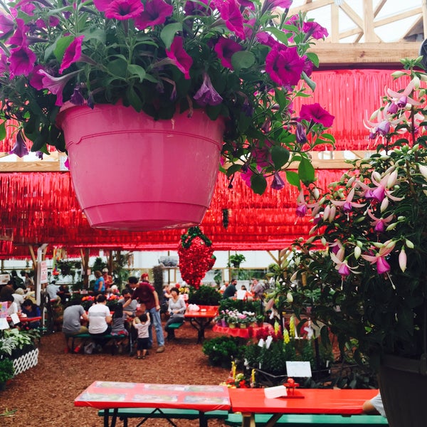 This market has lot of fresh vegetables and special strawberry desserts. The decoration of this place is red and pink, and it also have some green plants. It is really colorful and healthy place!