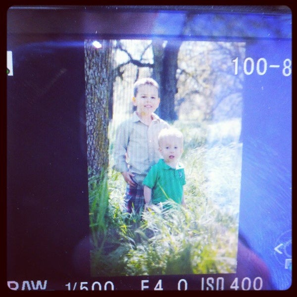 Photos at Blue Oaks Elementary School Quail Glen 2 tips from 36