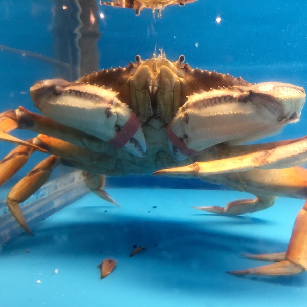 12/31/2015にPat H.がCity Crab Shackで撮った写真