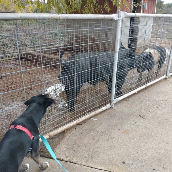 Cover's Apple Ranch Tuolumne, CA