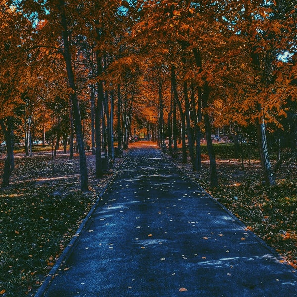 Очень в парке