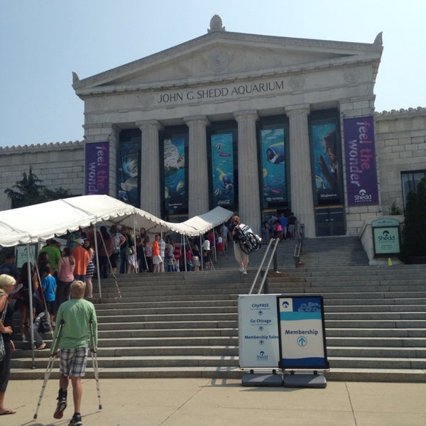 Shedd Aquarium Ticket Line Chicago, IL