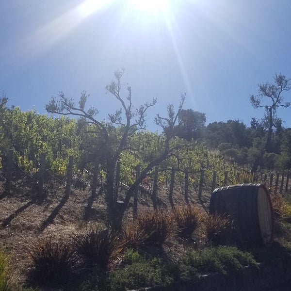 รูปภาพถ่ายที่ Mountain Winery โดย kumi m. เมื่อ 7/12/2019