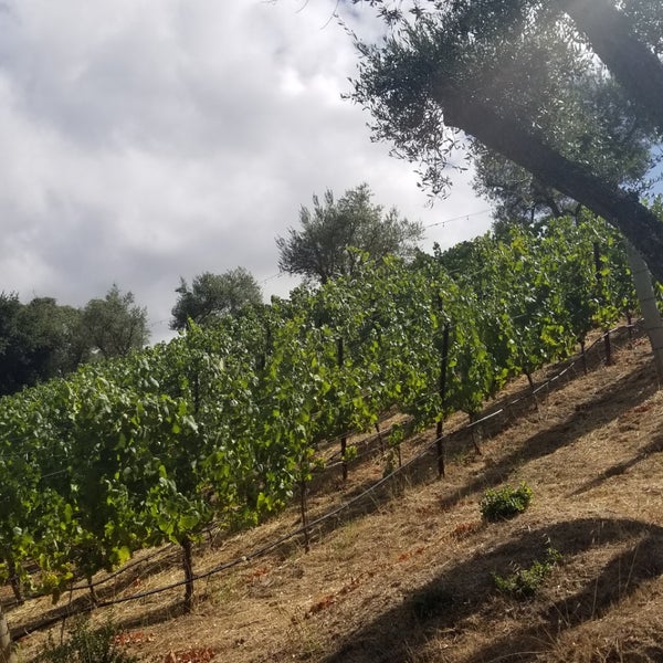 Foto tirada no(a) Mountain Winery por kumi m. em 8/10/2019