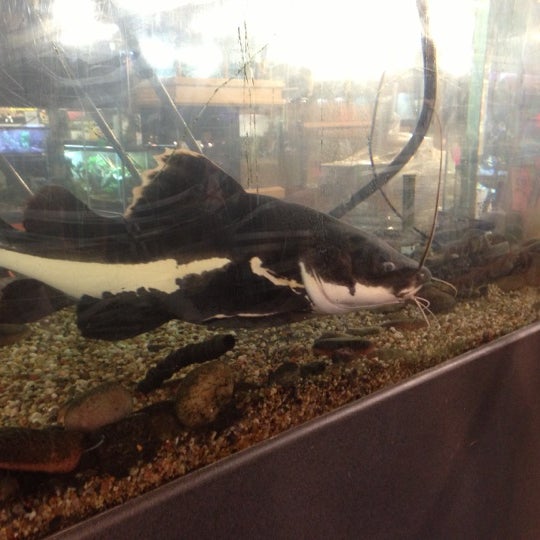 Photos At Ocean Floor Pet Store In Phoenix