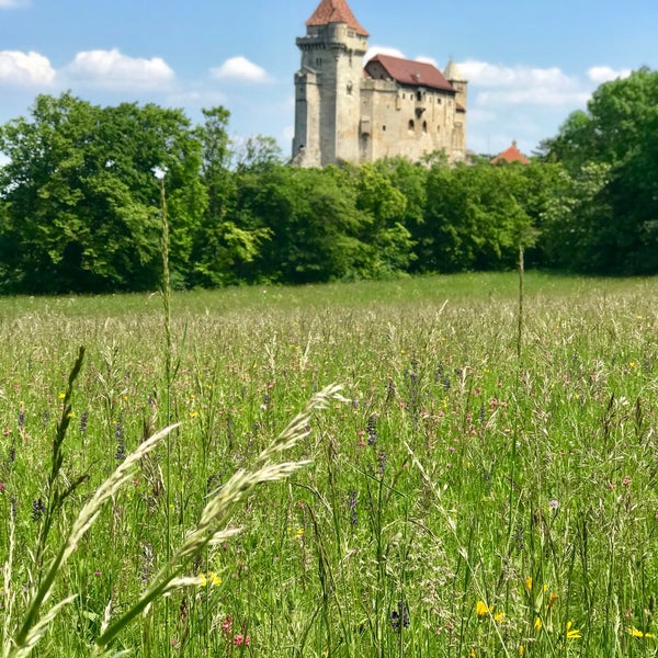 Das Foto wurde bei Burg Liechtenstein von Saba T. am 5/26/2019 aufgenommen